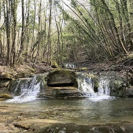 דירה Cerqua Palmata - Waterfall