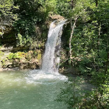 Cerqua Palmata - Waterfall * אסיסי